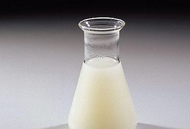 開門見山！您想要知道的關(guān)于食品乳化劑型號(hào)功效的一切都在這里了！